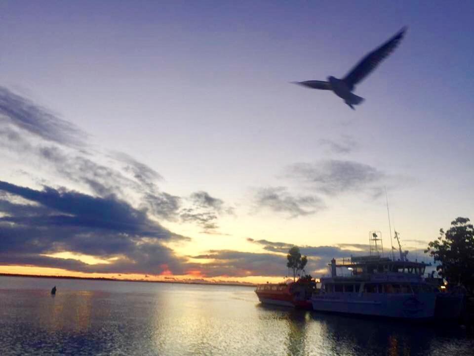 Huskisson Beach Escape エクステリア 写真